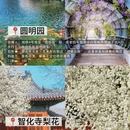 北京旅游 缩略图 10