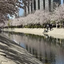 北京旅游 缩略图 1