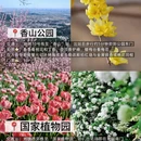北京旅游 缩略图 12
