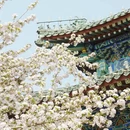 北京旅游 缩略图 1