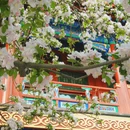 北京旅游 缩略图 3