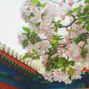 北京旅游 缩略图 4