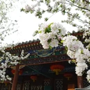 北京旅游 缩略图 5