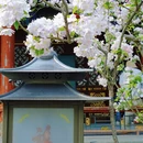 北京旅游 缩略图 2