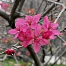 北京旅游 缩略图 3