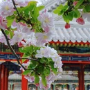 北京旅游 缩略图 7