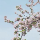 北京旅游 缩略图 8