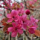 北京旅游 缩略图 4