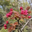 北京旅游 缩略图 8