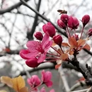 北京旅游 缩略图 5