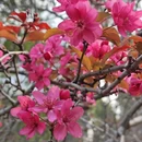 北京旅游 缩略图 6