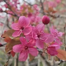 北京旅游 缩略图 7