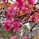 北京旅游 缩略图 16