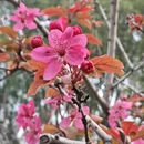 北京旅游 缩略图 12