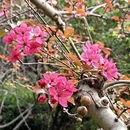 北京旅游 缩略图 2
