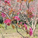 北京旅游 缩略图 15