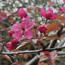 北京旅游 缩略图 17