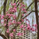 北京旅游 缩略图 9