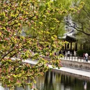北京旅游 缩略图 10
