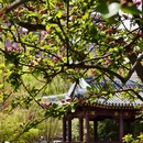 北京旅游 缩略图 7