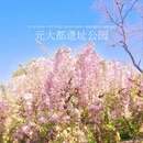 北京旅游 缩略图 1