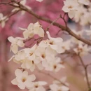 北京旅游 缩略图 5