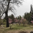 北京旅游 缩略图 5