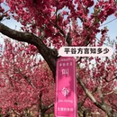 北京旅游 缩略图 5