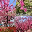 北京旅游 缩略图 8