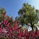 北京旅游 缩略图 4
