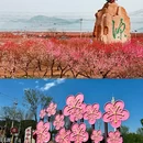 北京旅游 缩略图 2