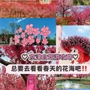 北京旅游 缩略图 1