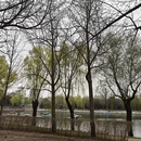 北京旅游 缩略图 4