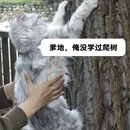 北京旅游 缩略图 8