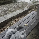 北京旅游 缩略图 7