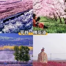 北京旅游 缩略图 5