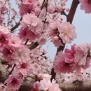 北京旅游 缩略图 3