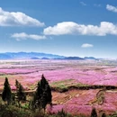 北京旅游 缩略图 4