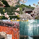 北京旅游 缩略图 8