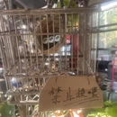 北京旅游 缩略图 6
