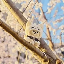 北京旅游 缩略图 2