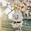 北京旅游 缩略图 4