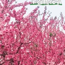北京旅游 缩略图 7