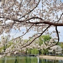 北京旅游 缩略图 11