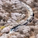北京旅游 缩略图 4