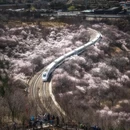 北京旅游 缩略图 5