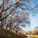 北京旅游 缩略图 3