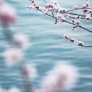 北京旅游 缩略图 11