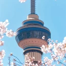 北京旅游 缩略图 1
