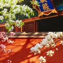 北京旅游 缩略图 2